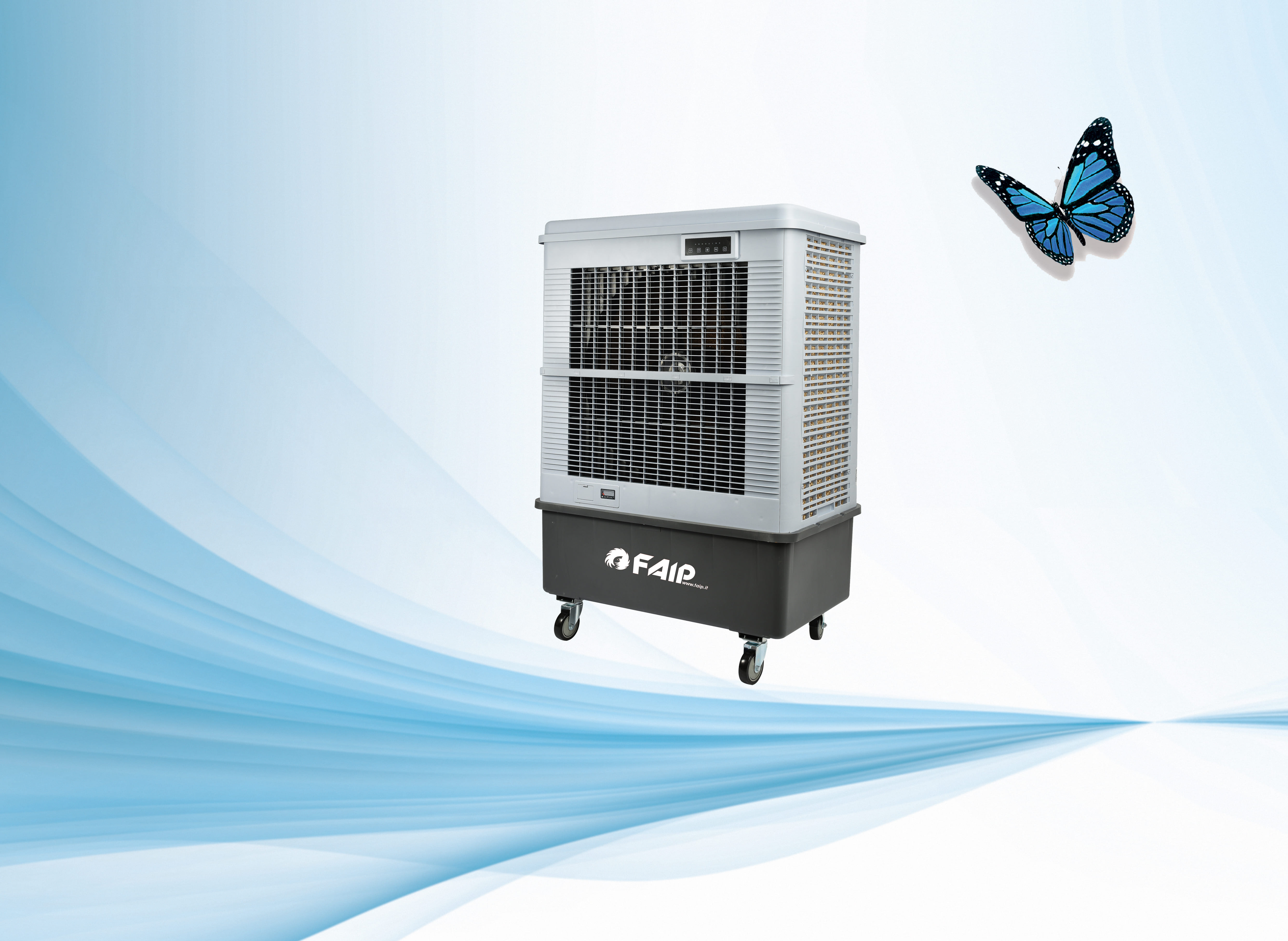 Veicoli Commerciali Grandi Dimensioni 2021. I Migliori Furgoni Da Comprare Ora In Vendita N66380 - Foto 5